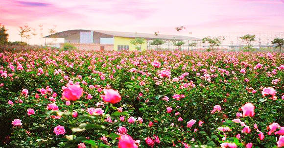 微信圖片_20250801095101.jpg 圖片