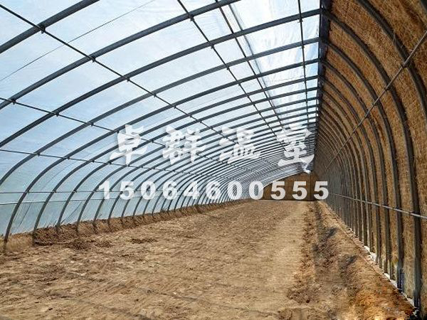 諸城市薄膜拱形溫室.jpg