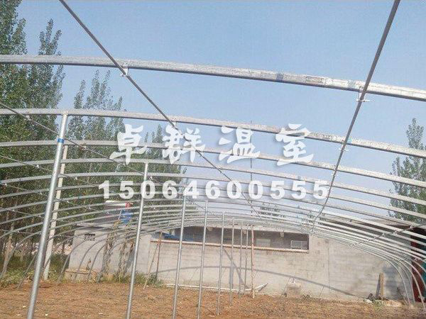 邵莊鎮(zhèn)育苗薄膜溫室.jpg