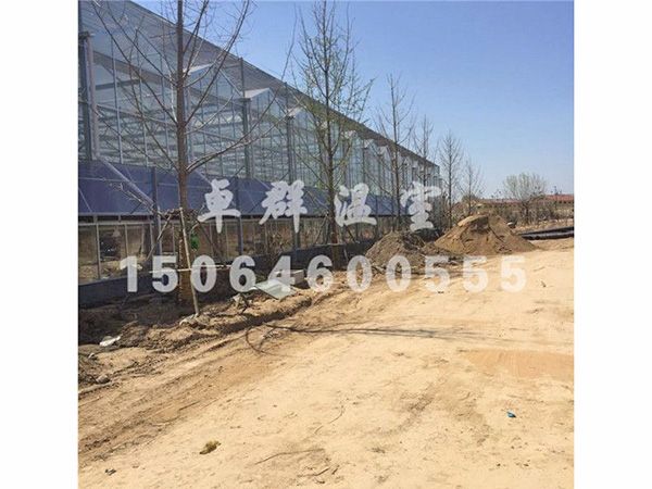 單縣生態(tài)餐廳