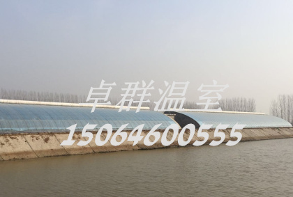 南水北調(diào)日光溫室大棚.jpg