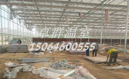 山西省忻州市忻府區(qū)秦鄉(xiāng)紋絡(luò)玻璃溫室