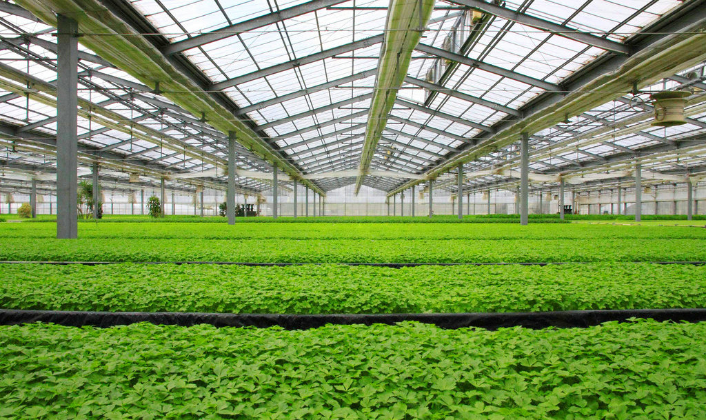 關于智能溫室大棚控制系統在溫室大棚中的應用