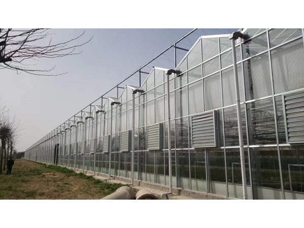  玻璃溫室