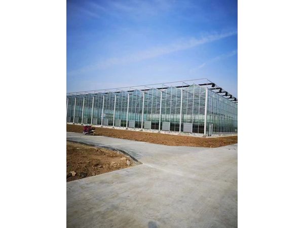 玻璃溫室